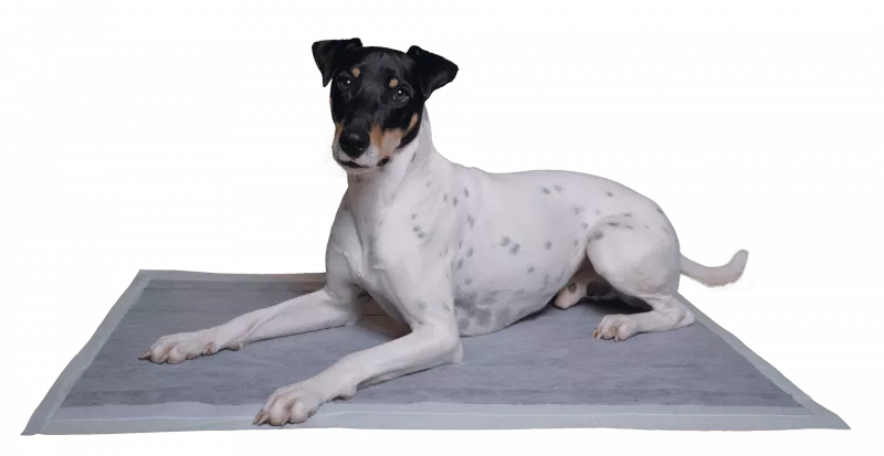 Vetlando Inkontinenzunterlage S